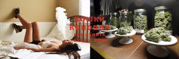 тгк Новодвинск