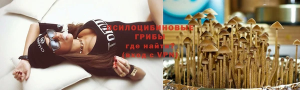 стафф Нея