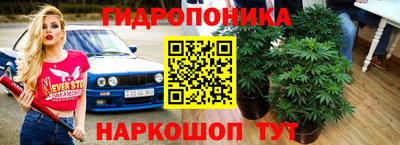 гидра Кулебаки