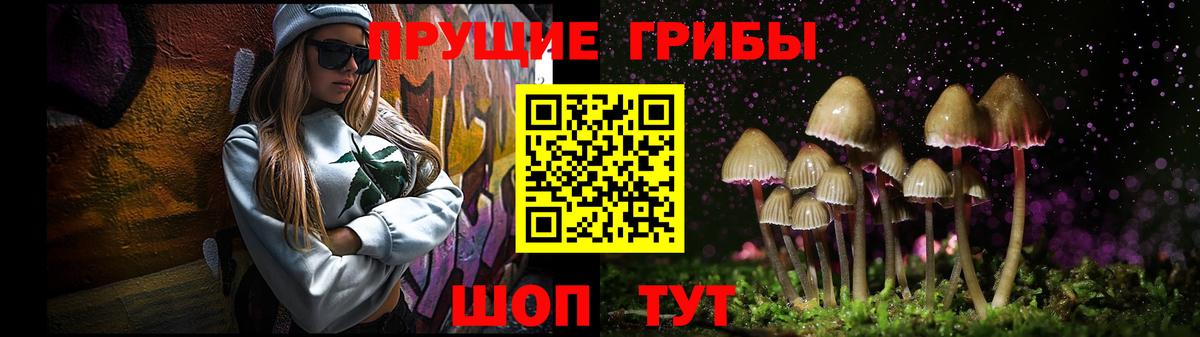 Советск  Галлюциногенные грибы мицелий  даркнет сайт  Вход с VPN 